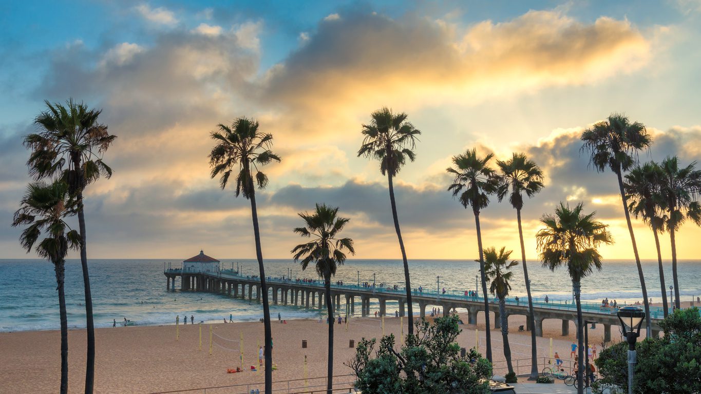 Palm trees in Manhattan Beach and pier at sunset, Los Angeles, California